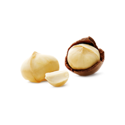 Macadamia Nut Ice Cream